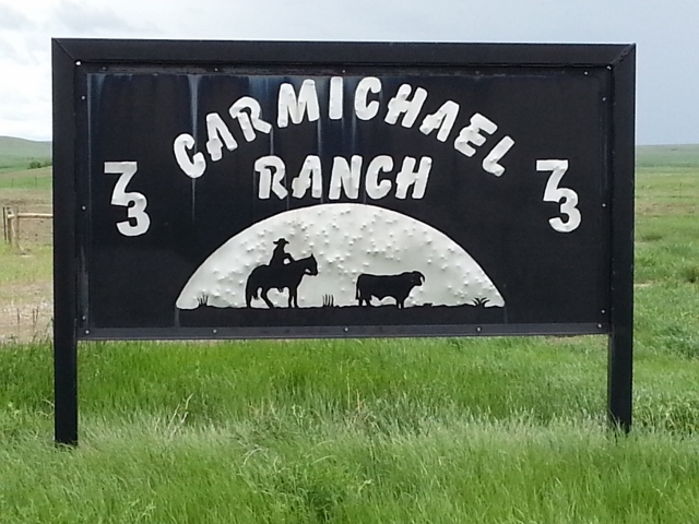 73 Carmichael Ranch Faith SD June 2013