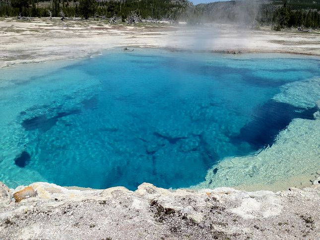yELLOWSTONE