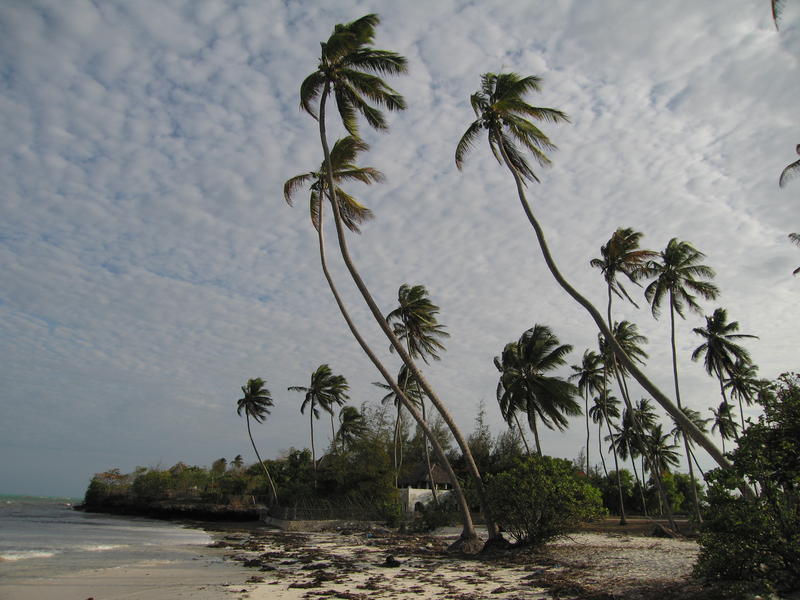 The beach in the evening