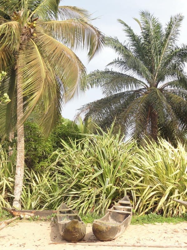 KRIBI BEACH (CAMEROON 2011)