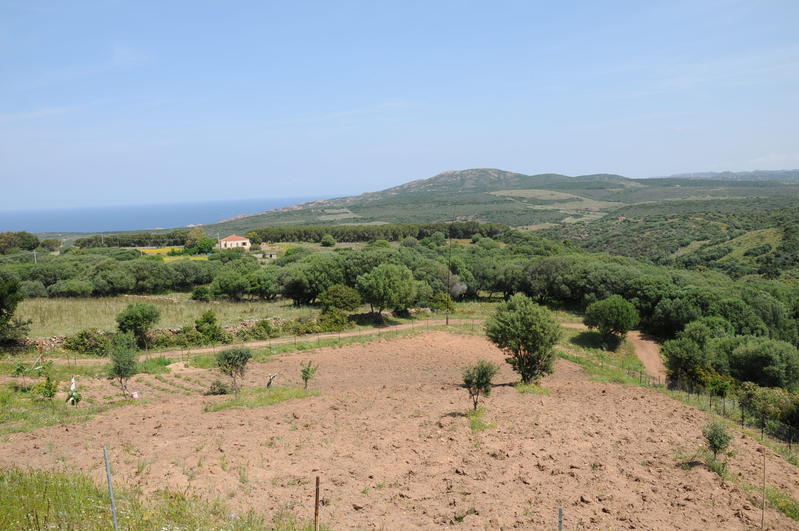 Village of Isola Rossa