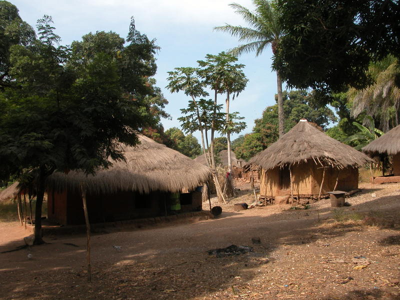 Visitt of the island of Soga
