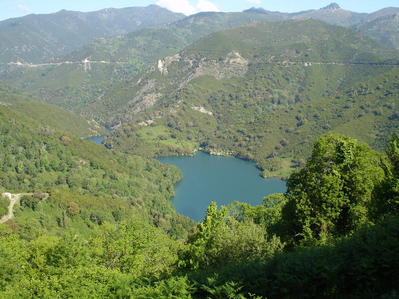 Near Chiatra