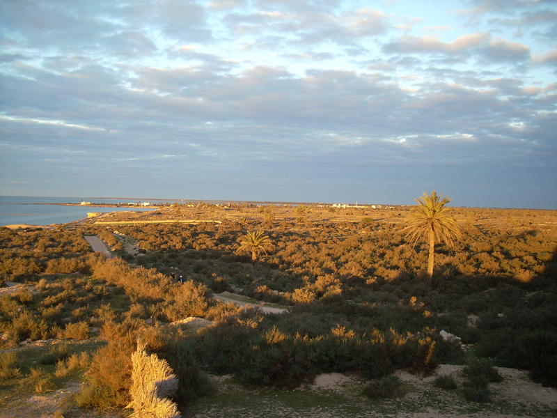 Landscape on the island of Kerkennah