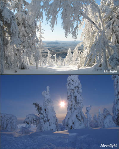 Sweden during winter. Sweden during winter.