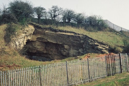 cherry hole on wren's nest